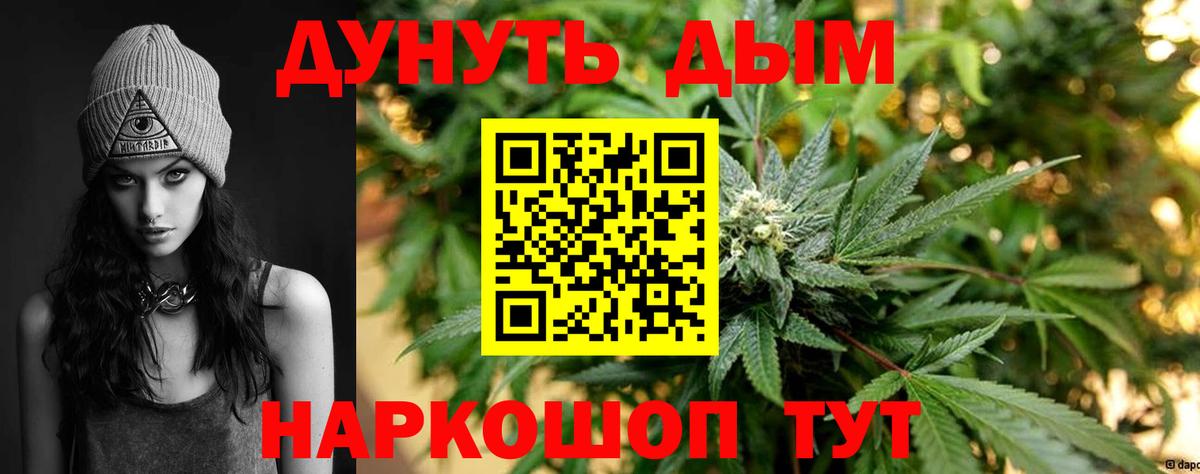 Конопля сатива Рубцовск